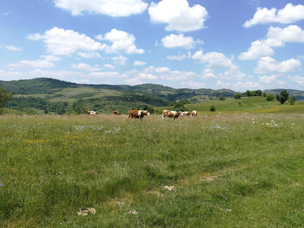 Διαμέρισμα Drveni Raj Uvac Sjenica