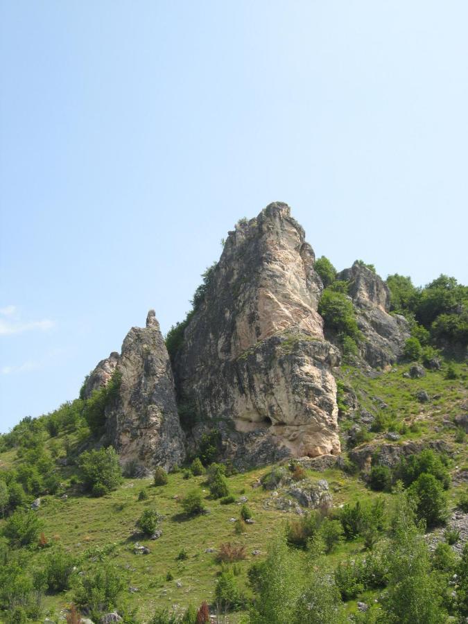 Διαμέρισμα Drveni Raj Uvac *